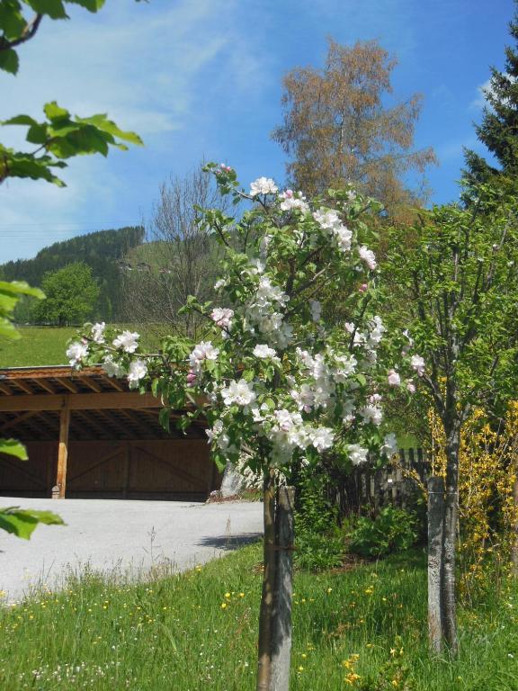 Haus Schoenleiten 바그라인 외부 사진